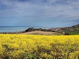 Riserva naturale del Borsacchio